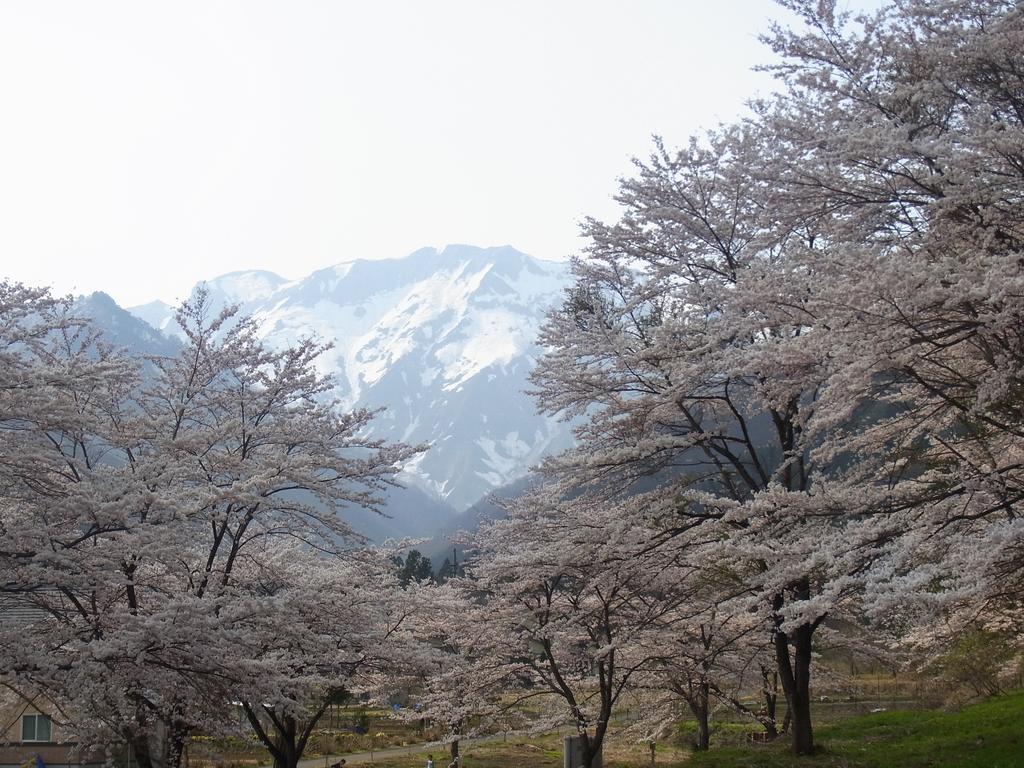Ryokan Tanigawa Minakami Exterior photo